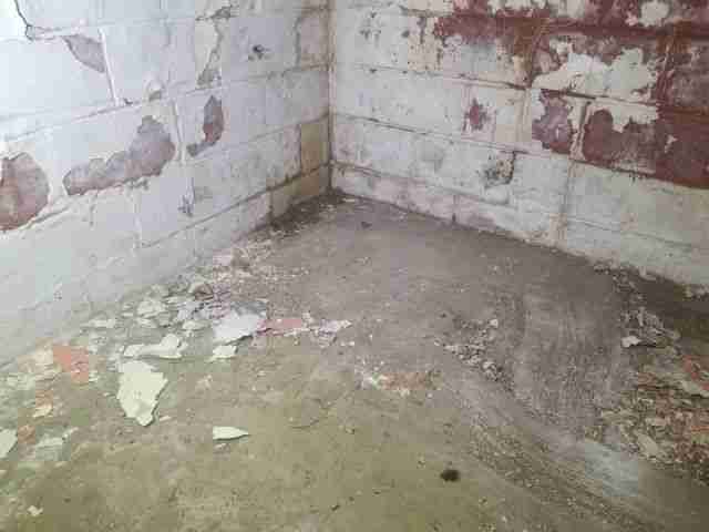 Testing again(40).jpg